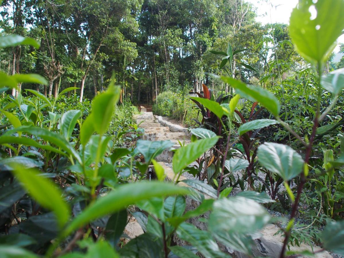 Tearamb Holiday Bungalow Otalawa Bagian luar foto