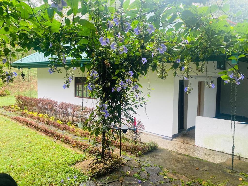 Tearamb Holiday Bungalow Otalawa Bagian luar foto